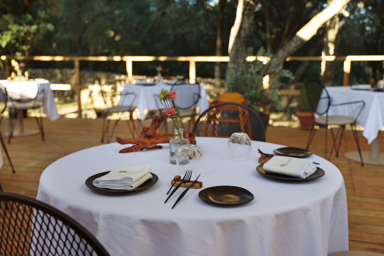 Terrace and swimming pool